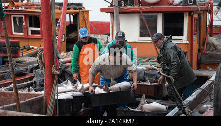 Mar del Plata, Argentinien - 19. September 2016: Es ist ein kleines Fischerboot, typisch für den Hafen von Mar del Plata, nach einem Tag des Fischens, üblichen Stockfoto