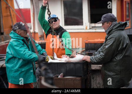 Mar del Plata, Argentinien - 19. September 2016: Es ist ein kleines Fischerboot, typisch für den Hafen von Mar del Plata, nach einem Tag des Fischens, üblichen Stockfoto