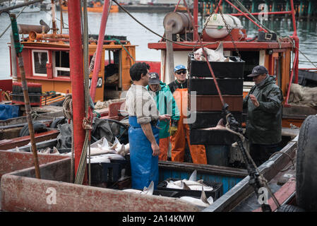 Mar del Plata, Argentinien - 19. September 2016: Es ist ein kleines Fischerboot, typisch für den Hafen von Mar del Plata, nach einem Tag des Fischens, üblichen Stockfoto