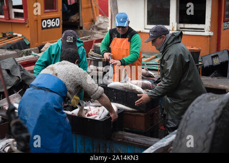 Mar del Plata, Argentinien - 19. September 2016: Es ist ein kleines Fischerboot, typisch für den Hafen von Mar del Plata, nach einem Tag des Fischens, üblichen Stockfoto