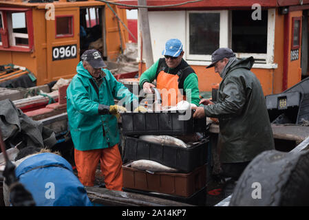 Mar del Plata, Argentinien - 19. September 2016: Es ist ein kleines Fischerboot, typisch für den Hafen von Mar del Plata, nach einem Tag des Fischens, üblichen Stockfoto