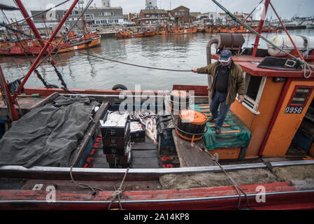 Mar del Plata, Argentinien - 19. September 2016: Es ist ein kleines Fischerboot, typisch für den Hafen von Mar del Plata, nach einem Tag des Fischens, üblichen Stockfoto