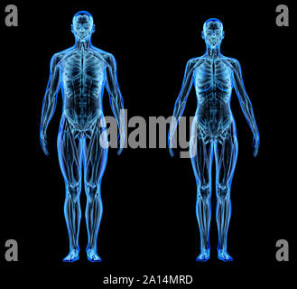 X-ray Effekt der männlichen und weiblichen Muskel- und Skeletterkrankungen, die auf schwarzen Hintergrund. Stockfoto