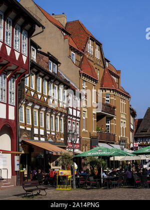 Ratten - Apotheke am Marktplatz, Einbeck, Niedersachsen, Deutschland, Europa Stockfoto