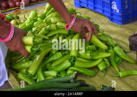 Hände von Lady kauf's Green Bird Eye Chili im indischen Markt Stockfoto