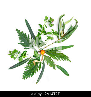 Tee Kräuter noch leben Flatlay auf weißem Hintergrund Stockfoto