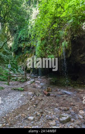 Natur Reserve" von Ferriere Valley" in Verona (Italien) Stockfoto