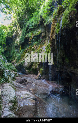 Natur Reserve" von Ferriere Valley" in Verona (Italien) Stockfoto