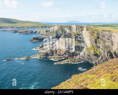 Die spektakuläre Kerry Felsen sind auf die Skellig Küste in der Grafschaft Kerry in Irland. Stockfoto