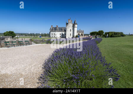 Frankreich Die Königliche Residenz von Amboise: 2018, ein historisches Denkmal im Tal der Loire und Ruhestätte des Künstlers Leonard de Vinci und ist jetzt ein Stockfoto