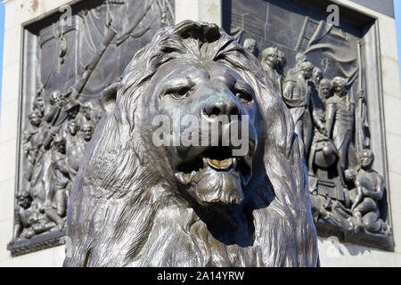 London, England - Sept 18, 2019: in der Nähe von einem der vier bronzenen Löwen, Guard der Nelson's Column. Sie wurden von Edwin Landseer ein konzipiert Stockfoto