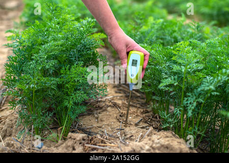 Messen Sie den Boden mit digitalen Gerät. Grüne Pflanzen und Frau Bauer messen PH-Wert und die Feuchtigkeit in der Erde. High-tech-Landwirtschaft Konzept. Stockfoto