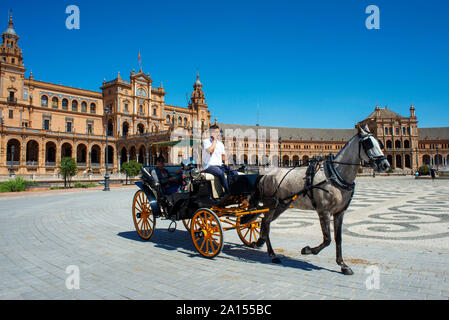 Pferdekutschen auf der Plaza de Espana in Sevilla, Sevilla an einem Sommernachmittag, Andalusien, Spanien Stockfoto