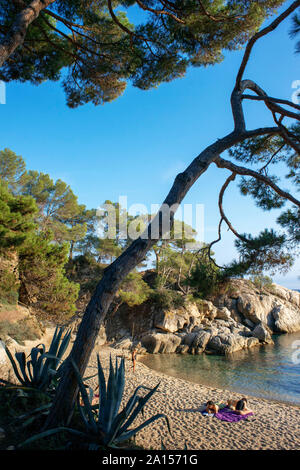 Platja d'Aro. Cala del Pi Strand an der Costa Brava. Cami de Ronda. In der Provinz Girona. Katalonien. Spanien Stockfoto