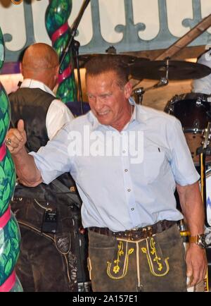 Arnold Schwarzenegger als Kapellmeister der Dirigent der Kapelle Muenchner Zwietracht auf dem Podium Gast im Marstall Festzelt an der Münchner Oktoberfest 2019 auf der Theresienwiese am Samstag, den 21.09.2019 in München | Verwendung weltweit Stockfoto