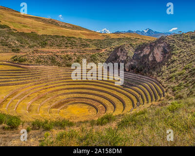 Muränen, Inka experimentelle Felder in den peruanischen Anden bei Cuzco, Peru. Südamerika. Stockfoto