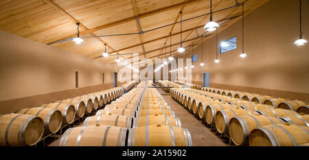 Saint-Medard-d'Eyrans (Südwesten Frankreichs). Moderne Keller im Weinbaugebiet von Bordeaux Chateau d'Eyran. Stockfoto