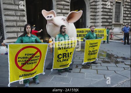 Italien, Rom, 24. September 2019: Greenpeace Aktivisten protestieren vor dem Ministerium für Landwirtschaft, die Aussetzung der Finanzierung für intens zu verlangen. Stockfoto