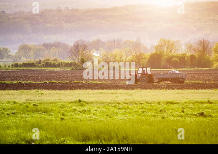 Landwirtschaftliche Zugmaschine die in einem Feld Stockfoto