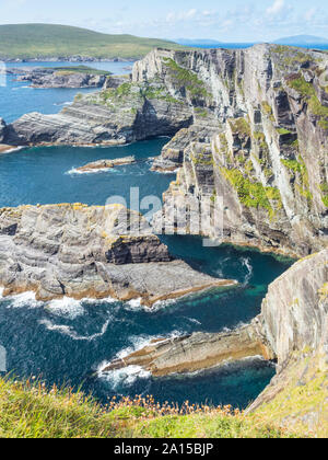 Die spektakuläre Kerry Felsen sind auf die Skellig Küste in der Grafschaft Kerry in Irland. Stockfoto