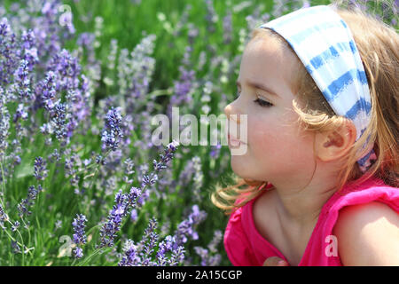 Kleinkind Mädchen genießen Lavendelfeld Geruch, closeup Profil Portrait Stockfoto