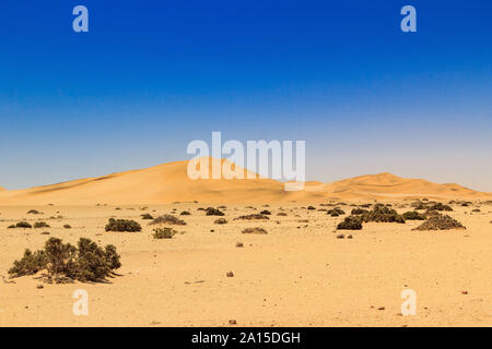 Weiche Sanddünen in der Wüste Namib Naukluft Park, Namibia, Afrika Stockfoto