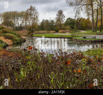 Herbst Szene mit rot gelb braun und orange Farben den Wechsel der Jahreszeiten mit Reflexionen der Zweige und der Himmel im Wasser Stockfoto