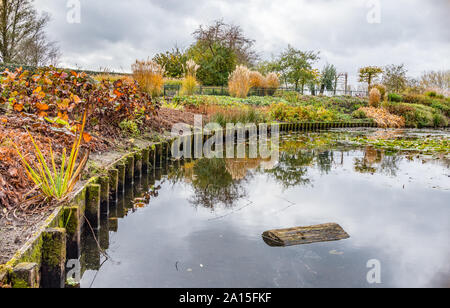 Herbst Szene mit rot gelb braun und orange Farben den Wechsel der Jahreszeiten mit Reflexionen der Zweige und der Himmel im Wasser Stockfoto