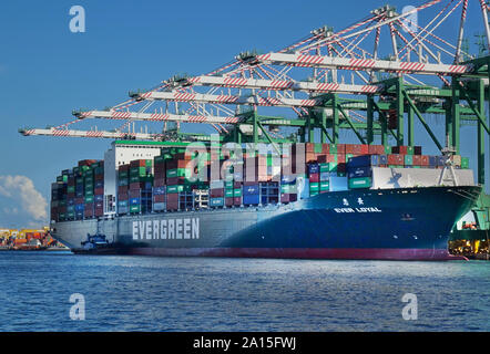 KAOHSIUNG, TAIWAN - 2. JUNI 2019: Container werden auf Schiffen in Kaohsiung Port geladen. Stockfoto