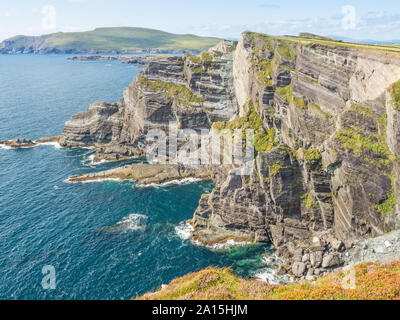 Die spektakuläre Kerry Felsen sind auf die Skellig Küste in der Grafschaft Kerry in Irland. Stockfoto