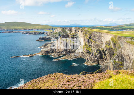 Die spektakuläre Kerry Felsen sind auf die Skellig Küste in der Grafschaft Kerry in Irland. Stockfoto