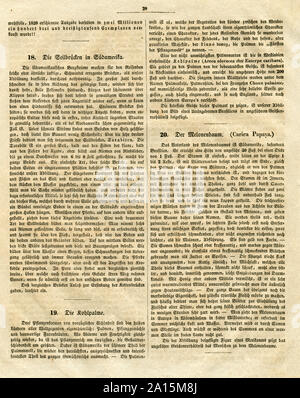 Europa, Frankreich, Paris, Voltaire, französischer Schriftsteller und Philosoph, Biografie aus der Zeitschrift "Archiv für Natur, Kunst, Wissenschaft und Leben', 3. Band, Lieferung 3, 1835, Seite 6 von 4. / Europa, Frankreich, Paris, Voltaire, französischer Schriftsteller und Philosoph, Biographie aus der Zeitung 'Archiv für Natur, Kunst, Wissenschaft und Leben" (Archiv für Natur, Kunst, Wissenschaft und Leben), Band 3, Lieferung 3, 1835, Seite 4 von 4. Stockfoto