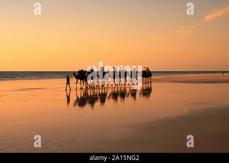 Australien, Westaustralien, Kimberley Region, Broome, touristische Kamel Zug am Kabel Strand bei Sonnenuntergang, Foto © Fabio Mazzarella/Sintesi/Alamy Stock Stockfoto