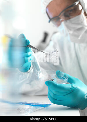 Forensische Wissenschaftler untersuchen Fragmente von Papier in einem Labor Stockfoto