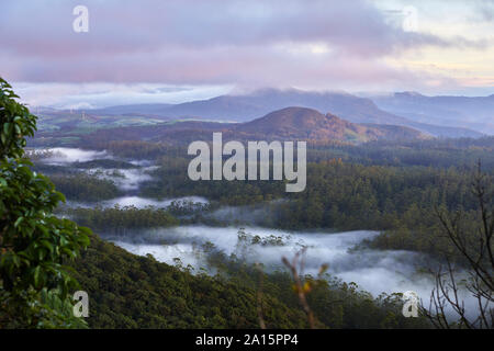 Sonnenaufgang an der Grenze von Horton Plains Nationalpark, Nuwara Eliya, Sri Lanka Stockfoto