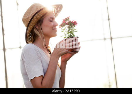 Schöne junge Frau riecht an Blumen im Gewächshaus Stockfoto