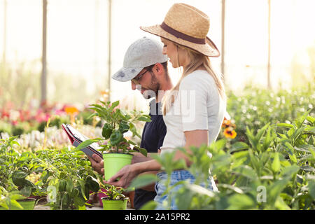 Junge Frau und Mann bei der Arbeit mit Tablet-PC in einem Gewächshaus Stockfoto