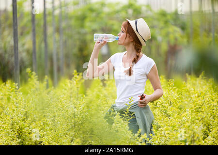 Schöne junge Frau trinkt Wasser aus der Flasche im Gewächshaus Stockfoto