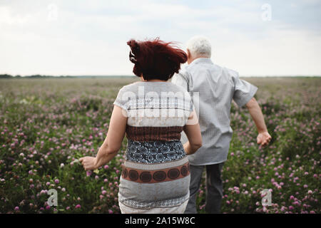 Rückansicht des Senior Paar, dass auf Blumenwiese Stockfoto