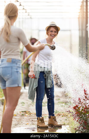 Zwei glückliche junge Frauen Spaß beim Blumen gießen mit Schlauch im Gewächshaus Stockfoto