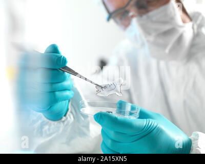 Forensische Wissenschaftler untersuchen Fragmente von Papier in einem Labor Stockfoto