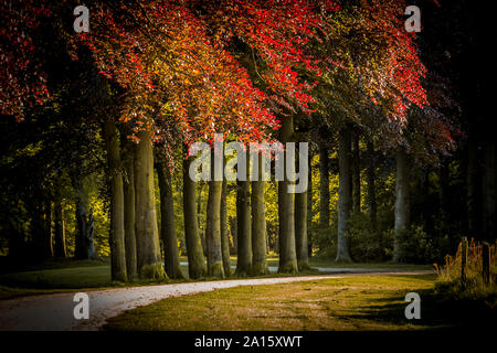 Schloss Garten Niederlande Stockfoto