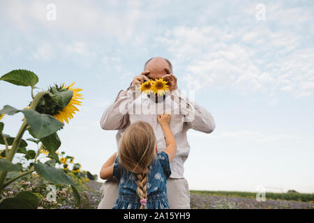 Verspielter Mann mit Tochter in einem Feld, die seine Augen mit Sonnenblumen Stockfoto