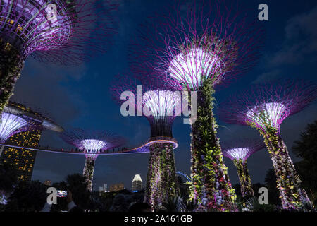 Singapur: Nachtansicht von supertrees in den Gärten an der Bucht (Park) Stockfoto