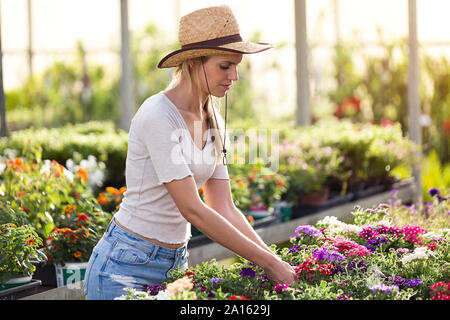 Schöne junge Frau kümmert sich um die Blumen im Gewächshaus Stockfoto