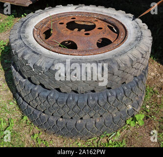 Alte, abgetragene Gummiräder mit rostigen Felgen von einem retro gebrochen abgebrochenen Lkw liegen auf dem Gras Stockfoto