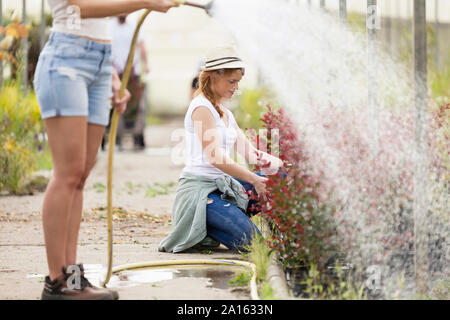 Zwei junge Frauen, die Pflege und Blumen gießen mit Schlauch im Gewächshaus Stockfoto