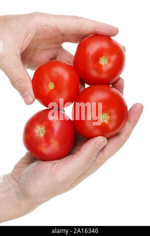 Ältere Menschen Ältere Menschen in Händen hält reife rote Tomaten aus seinem Garten. Auf weissem Studio closeup Schuß isoliert Stockfoto
