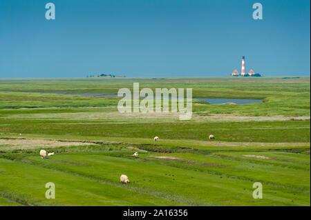 Deutschland, Schleswig-Holstein, Schafe auf Salzwiesen mit Westerheversand Leuchtturm im Hintergrund Stockfoto