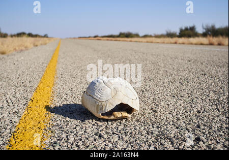 Turtle Shell in der Mitte der Straße, Makgadikgadi Pans, Botswana Stockfoto